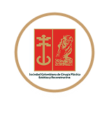 Certified Plastic Surgeon (SCCP)
